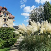 02 jardin herbes de Pampa